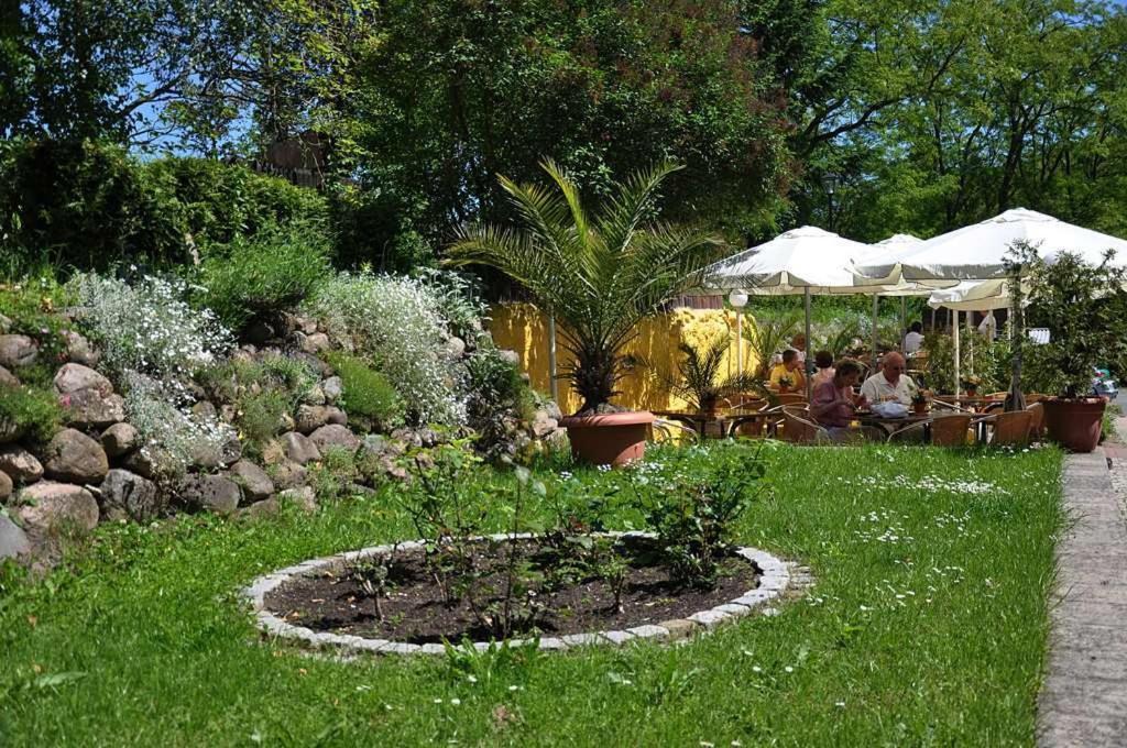 Hotel & Restaurant Maerkische Schweiz Buckow Εξωτερικό φωτογραφία